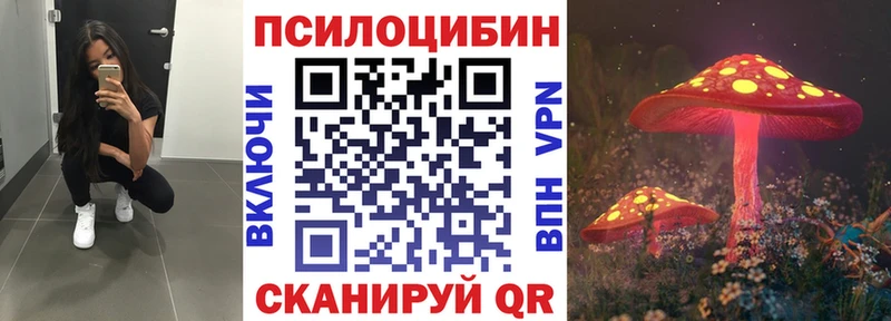 Галлюциногенные грибы MAGIC MUSHROOMS  mega ТОР  Терек  цены  