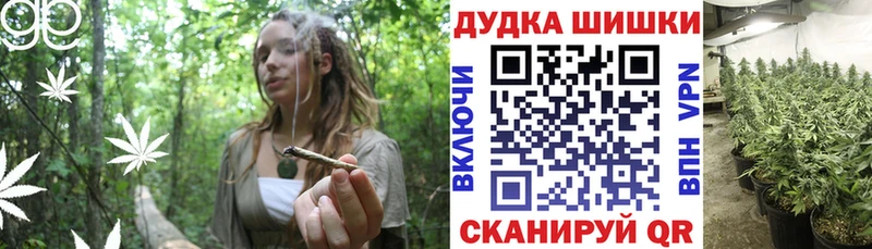 omg маркетплейс  Терек  Бошки марихуана OG Kush 